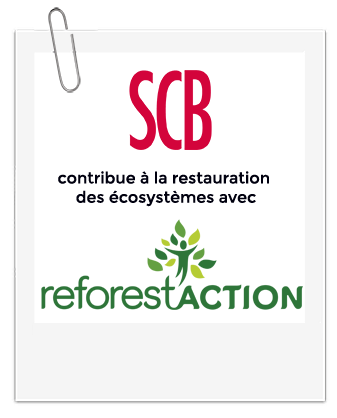 scb et reforestaction