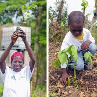 REFORESTACTION COTE D IIVOIRE