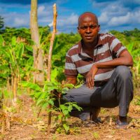 REFORESTACTION COTE D IIVOIRE