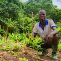 REFORESTACTION COTE D IIVOIRE