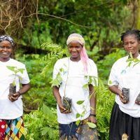 REFORESTACTION COTE D IIVOIRE