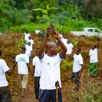 REFORESTACTION COTE D IIVOIRE