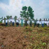 REFORESTACTION COTE D IIVOIRE