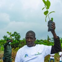 REFORESTACTION COTE D IIVOIRE