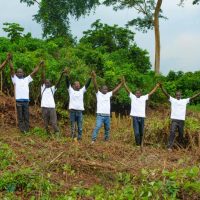 REFORESTACTION COTE D IIVOIRE