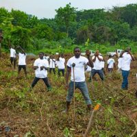 REFORESTACTION COTE D IIVOIRE
